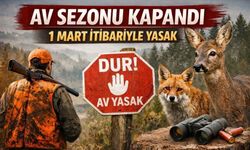 Yaban Hayatı İçin Av Yasağı Başladı