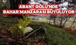 Bolu’da Bahar Abant’ta Kendini Gösterdi