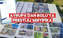 Bolu BİLSEM’e Avrupa’dan “Mavi Okul” Sertifikası