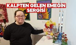 Bolu'da Atık Malzemelerden Sanat Eseri Yaptılar
