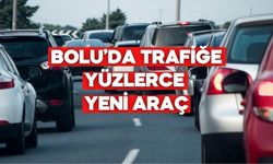 Bolu’da Bir Ayda Binlerce Araç El Değiştirdi