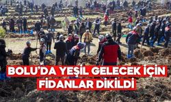 Bolu’da Orman Haftası Böyle Kutlandı! Yüzlerce Fidan Toprakla Buluştu