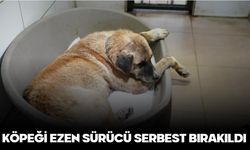 KÖPEĞİ EZEN SÜRÜCÜ SERBEST BIRAKILDI