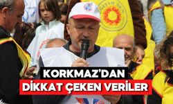 Eğitim-İş Bolu’dan çarpıcı rapor: 3 milyon çocuk çalışıyor