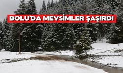 Nisan’da Kar Şoku! Bolu’da Kış Geri Döndü