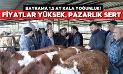 Bolu’da Kurban Pazarı Hareketlendi! Pazarlıklar Başladı