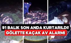 Bolu Seben Göleti’nde ağlara takılan balıklar doğaya geri bırakıldı