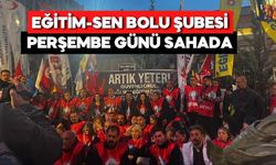 Eğitim-Sen Bolu Şubesi Perşembe günü nöbet tutacak