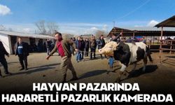 HAYVAN PAZARINDA HARARETLİ PAZARLIK KAMERADA