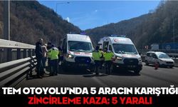 TEM Otoyolu'nda 5 aracın karıştığı zincirleme kaza: 5 yaralı