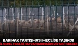 BARINAK TARTIŞMASI MECLİSE TAŞINDI! İL GENEL MECLİSİ HAYVAN BARINAĞINI ZİYARET EDECEK