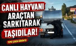 Bolu-Bilecik Yolunda Pes Dedirten Taşıma Şekli