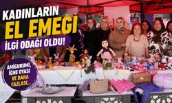 Bolu'da Kadınların Sabırla İşlediği Eserler Beğeni Topladı
