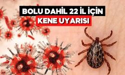KKKA Riski Bolu’yu da Kapsıyor: Uzmandan Kritik Uyarılar