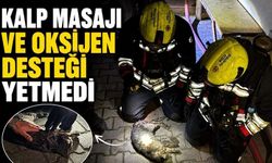 Bolu'da Yangında Dumandan Etkilenen Kedi İçin Dakikalarca Seferber Oldular