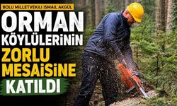 Bolu Milletvekili İsmail Akgül, Orman Köylülerinin Zorlu Mesaisine Katıldı