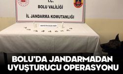 Bolu'da jandarmadan uyuşturucu operasyonu