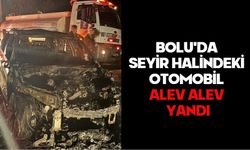 Bolu'da seyir halindeki otomobil alev alev yandı