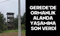 Gerede’de ormanlık alanda yaşamına son verdi