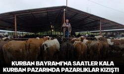 Kurban Bayramı'na saatler kala kurban pazarında pazarlıklar kızıştı