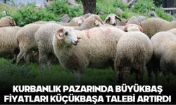 Kurbanlık pazarında büyükbaş fiyatları küçükbaşa talebi artırdı