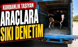 Bolu’da Kurbanlık Sevkine Sıkı Takip