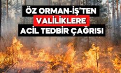 Orman Yangınlarında Korkutan Tablo! Sayılar Her Yıl Artıyor