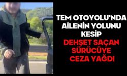 TEM Otoyolu'nda ailenin yolunu kesip dehşet saçan sürücüye ceza yağdı