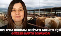 BOLU’DA KURBANLIK FİYATLARI NETLEŞTİ, GÖZLER HAFTA SONUNDA