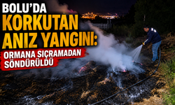 Bolu'da korkutan anız yangını: Ormana sıçramadan söndürüldü