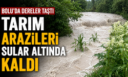BOLU'DA DERELER TAŞTI, TARIM ARAZİLERİ SULAR ALTINDA KALDI