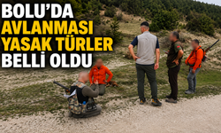 Bolu'da avlanması yasak türler belli oldu