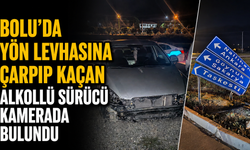 BOLU'DA YÖN LEVHASINA ÇARPIP KAÇAN ALKOLLÜ SÜRÜCÜ KAMERADA BULUNDU
