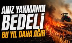 Bolu'da Çiftçiyi İlgilendiren Karar Resmen Yürürlükte