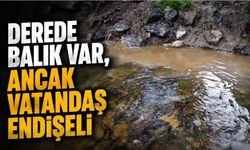Vatandaşın Kamerasına Takıldı: Dereye Ne Karışıyor?