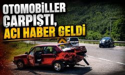 Bolu'da iki otomobilin çarpıştığı kazada 1 kişi öldü, 1 kişi yaralandı
