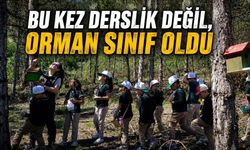 Mudurnu’da Çocuklar Doğa İçin Sahadaydı