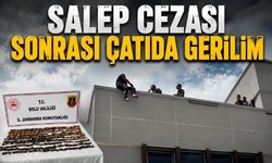 Bolu'da 2 Milyon Liralık Salep Cezasına İsyan Edip Çatıya Çıktı