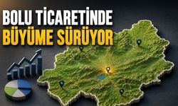 Bolu'da Kurulan Şirket Sayısı Kapananları Geçti