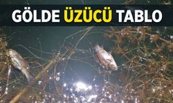 Bolu'nun Doğa Harikasında Endişelendiren Manzara
