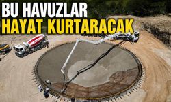 Bolu'da 800 Tonluk Dev Yapılar Ormanları Koruyacak