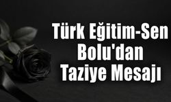 Türk Eğitim-Sen Bolu Şubesi Başkan Yardımcısı Soner Say’ın Acı Günü