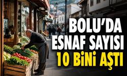 Bolu'da Esnafın En Büyük Sorunu Finansman ve Vergi Yükü