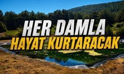 Bolu'da Orman Yangınlarına Karşı Bir Tedbir Daha