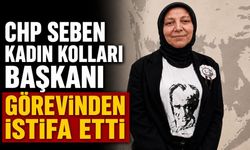 CHP SEBEN KADIN KOLLARI BAŞKANI GÖREVİNDEN İSTİFA ETTİ