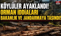 KÖYLÜLER AYAKLANDI!  ORMAN İDDİALARI BAKANLIK VE JANDARMAYA TAŞINDI!