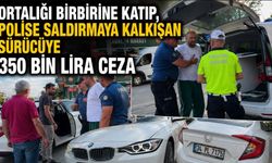 ORTALIĞI BİRBİRİNE KATIP, POLİSE SALDIRMAYA KALKIŞAN SÜRÜCÜYE 350 BİN LİRA CEZA
