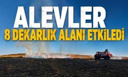 Bolu'da Elektrik Direğinden Çıkan Yangın Araziye Sıçradı