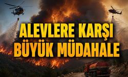 Göynük’te Yangın Seferberliği! Ekipler Alevlerle Mücadele Ediyor