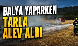 Bolu'da Kuru Otlar Tutuştu, Alevler Tarlaya Yayıldı